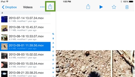 Share from the iPhone app